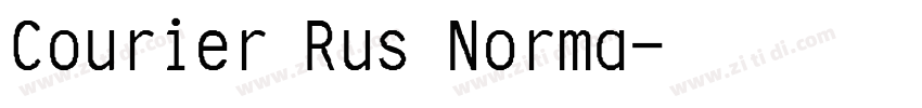 Courier Rus Norma字体转换